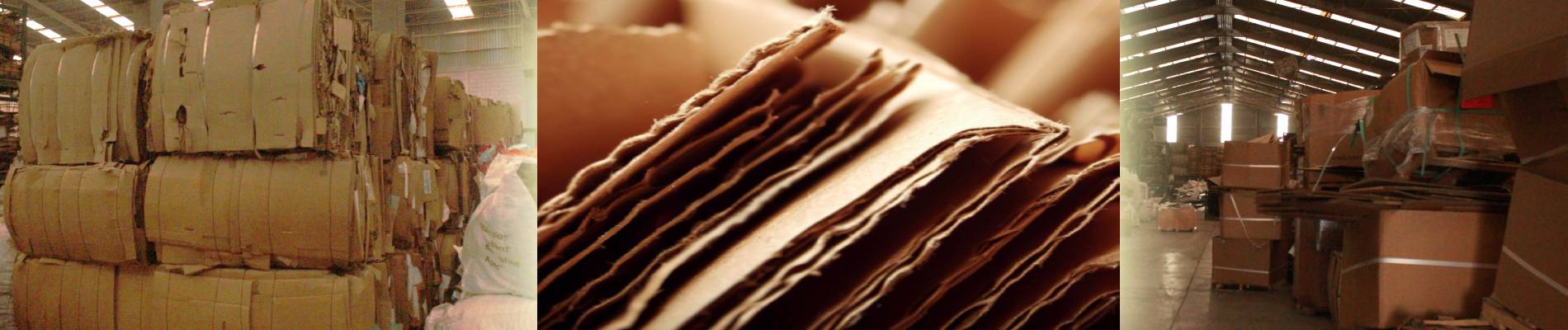 Descripción de la imagen